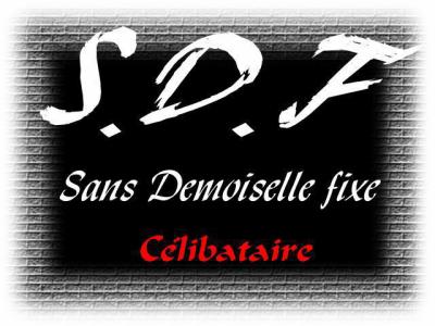 S.D.F oksss !!